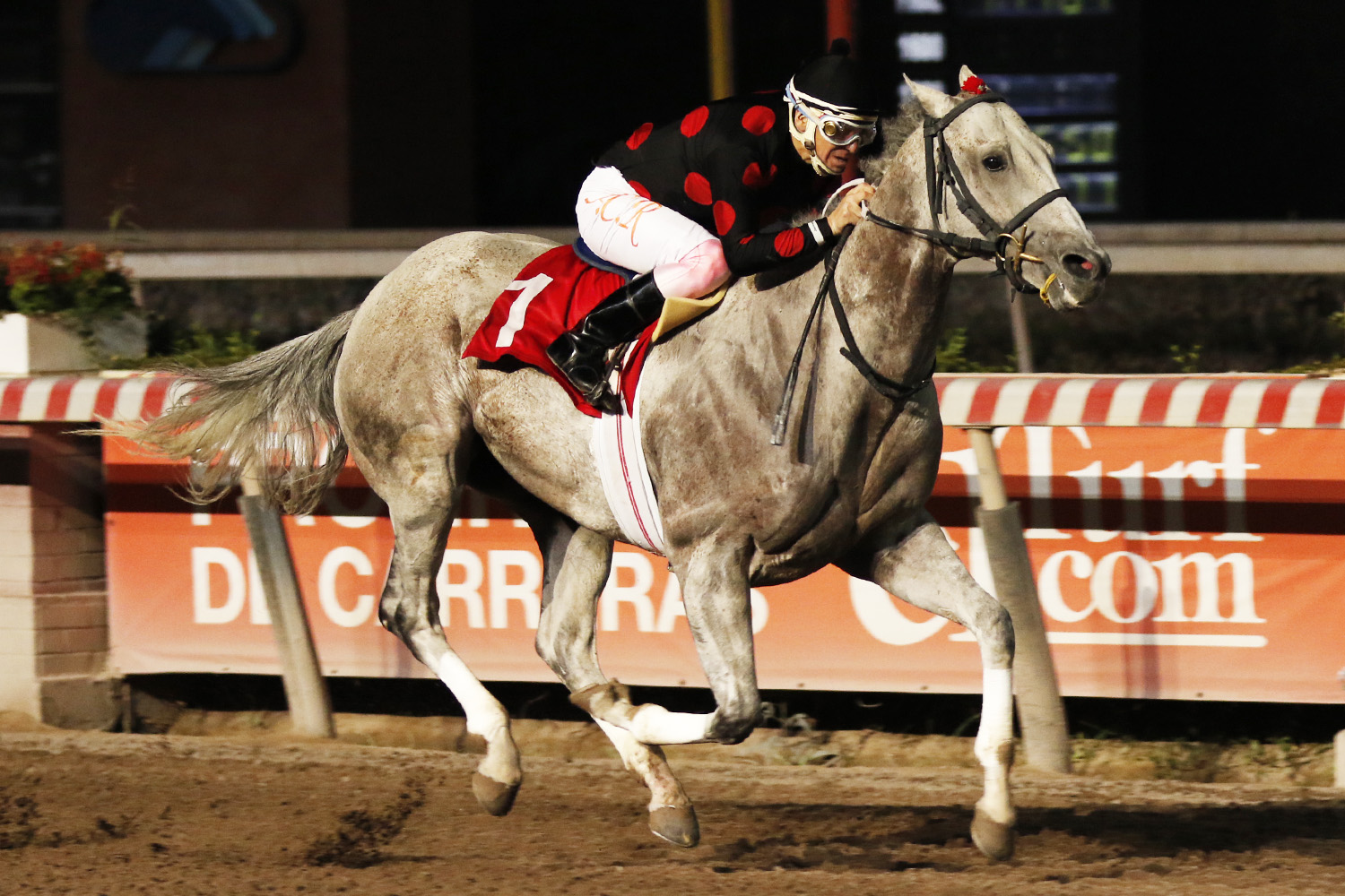 Betanio (Roman Ruler) se lleva Handicap (1200m-Arena-HCH). - Staff ElTurf.com