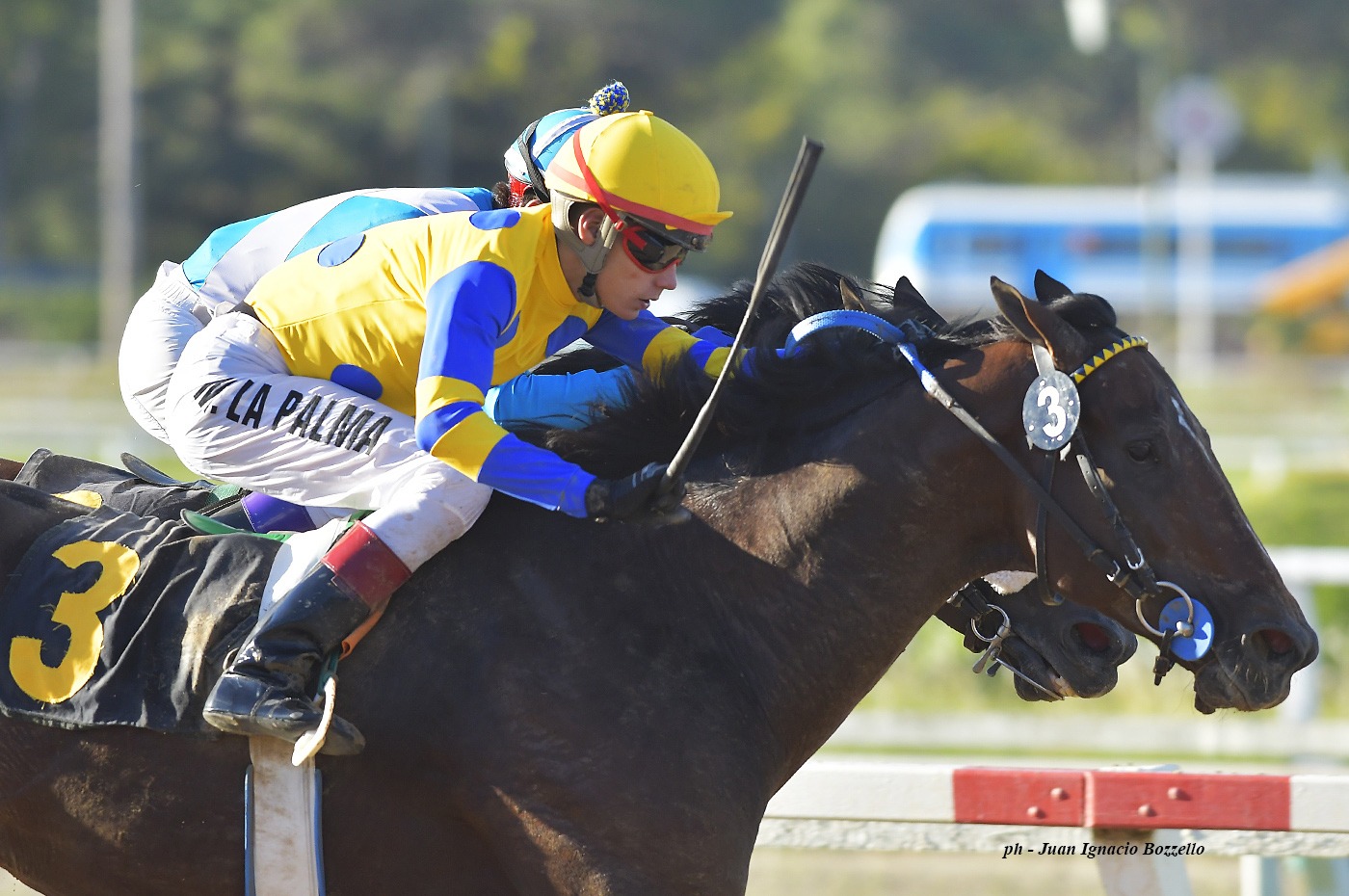 Prince Ruler (Roman Ruler) se impuso en Condicional (1200m-Arena-PAL). - Staff ElTurf.com