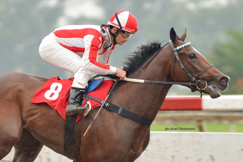 Joy Emulada (Fortify) se queda con la victoria en Condicional (1200m-Arena-LP). - Staff ElTurf.com