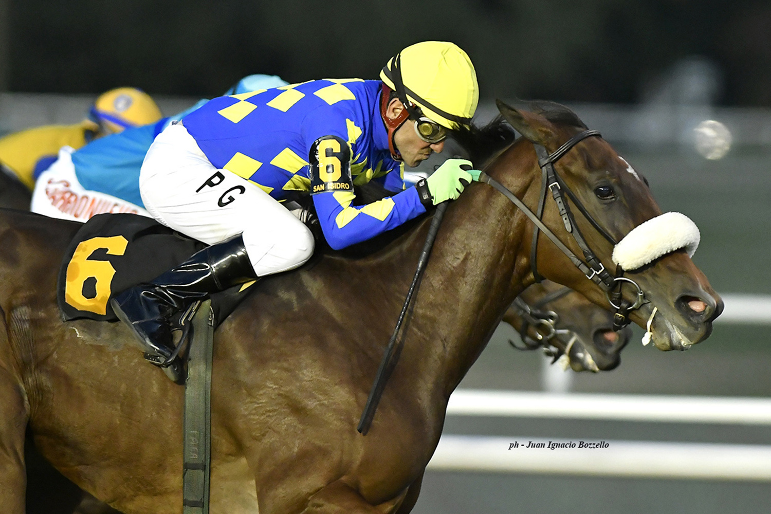 Joy Revolucionaria (Fortify) se queda con la victoria en Condicional (2000m-Pasto-SI). - Staff ElTurf.com