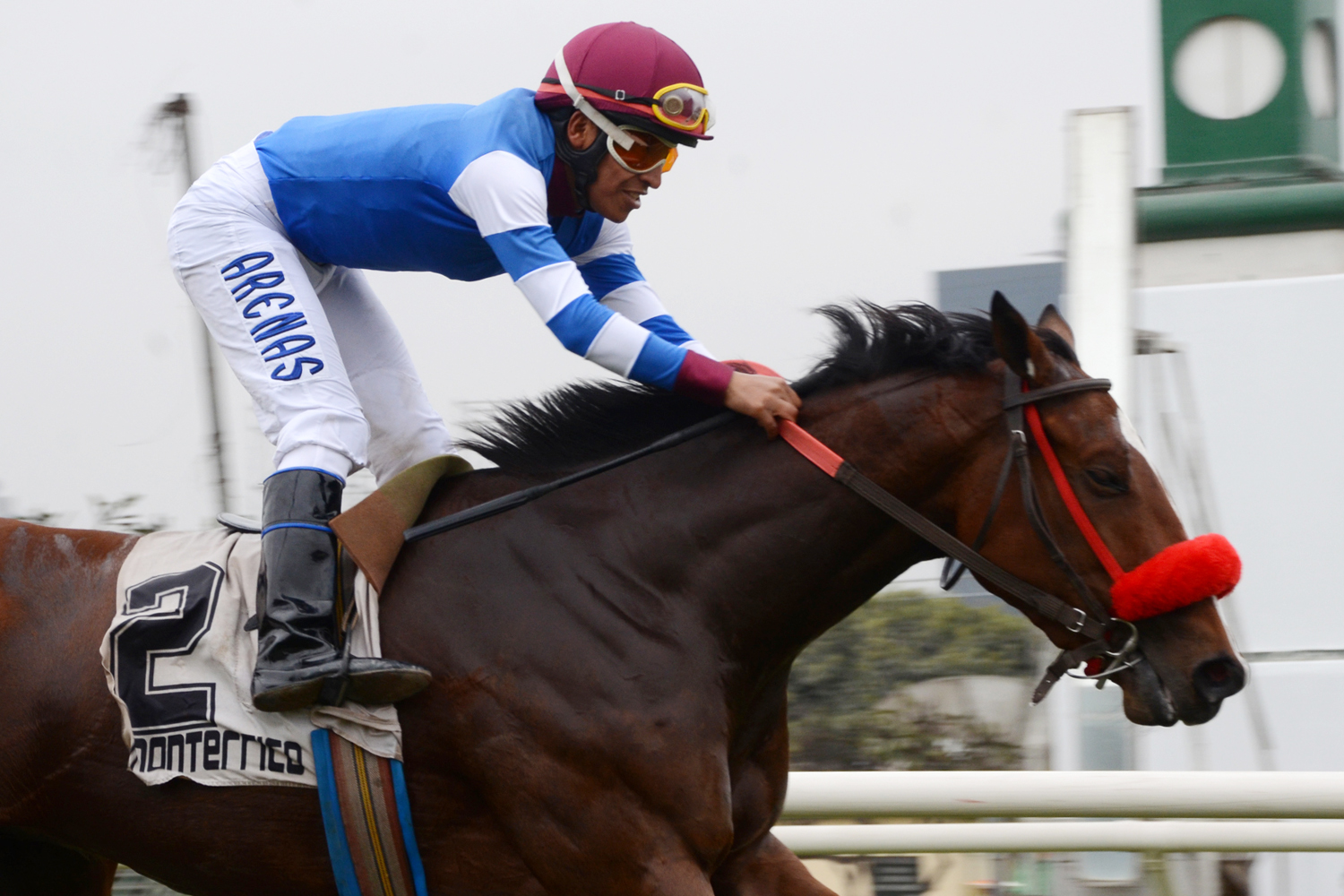Forgiveness (Fortify) se adjudica Condicional (1300m-Pasto-MONT). - Staff ElTurf.com